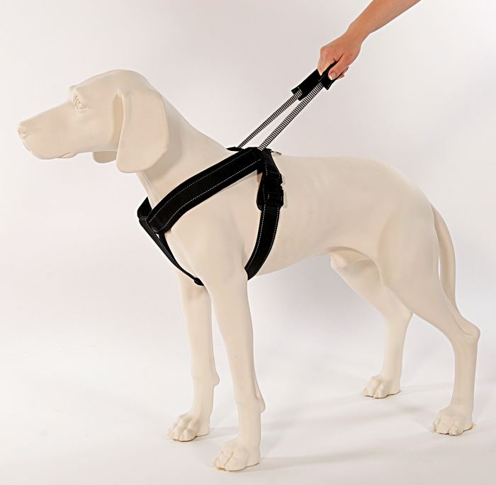 Sport Harness Long Line XXL black