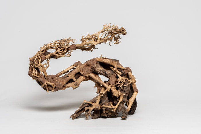 Drachen-Bonsai M (H: 18-25 cm, L: 28-30 cm)