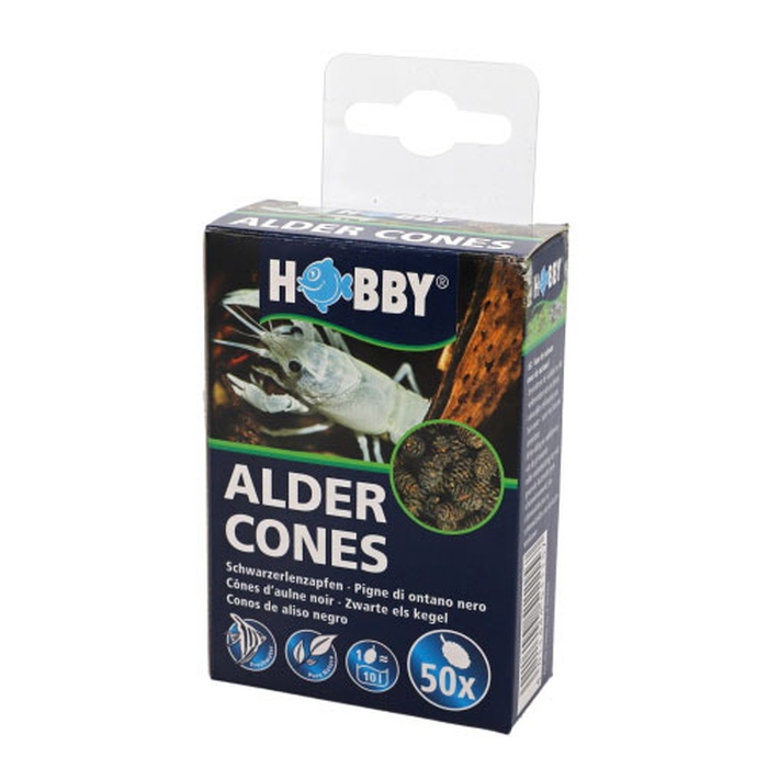 Alder Cones, 50 Stück