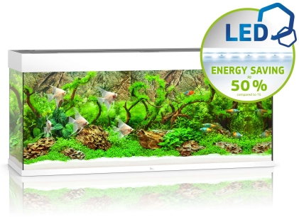 Rio 240 LED weiß Aquarium