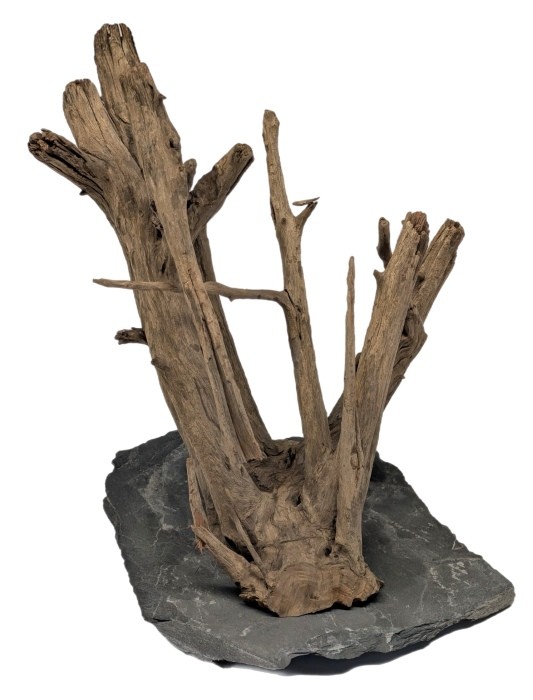 Me Euca Wood on Slate S (18-23 cm) [P15]