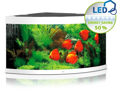 Trigon 350 LED weiß Aquarium Trigon 350 LED weiß Aquarium