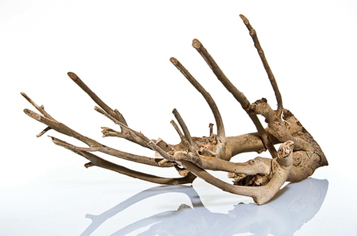 Talawa Holz M (30-45 cm)