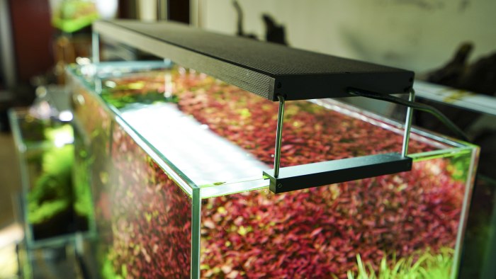 WRGB2 90 cm (100 W) Schwarz - DE Version