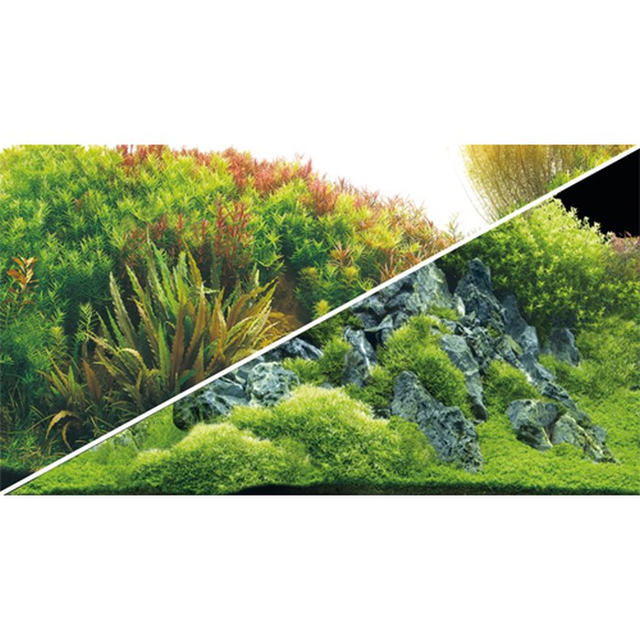Fotorückwand River/Rocks (100x50 cm)