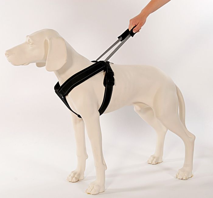 Sport Harness Long Line M black