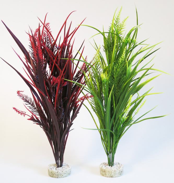 Aqua Forest Corsica 46 cm tall [P4]