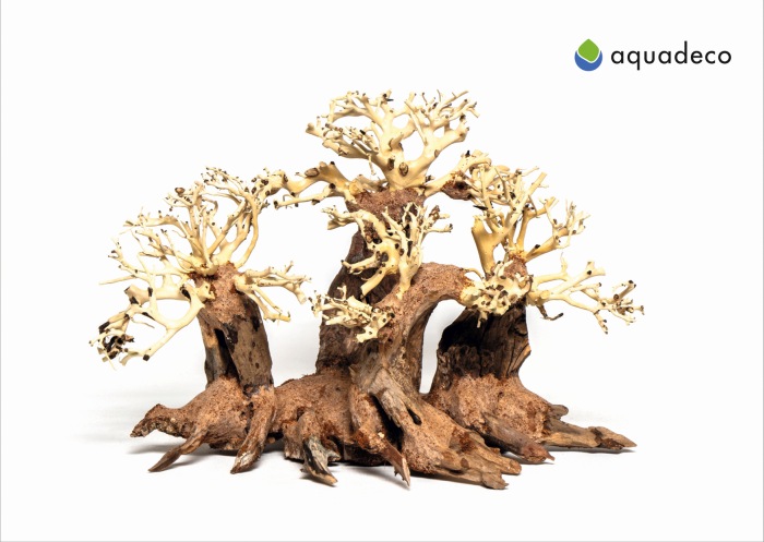 Wald-Bonsai L (50 x 25 x 30 cm)