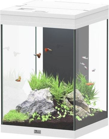 Aqua Tower 96 weiß Aquarium