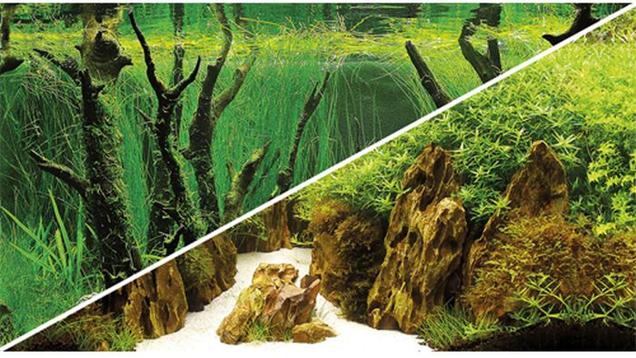 Fotorückwand Canyon / Woodland (0,3 x 25 m)