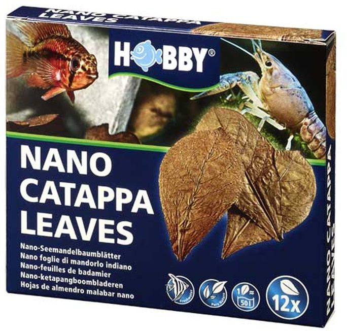 Nano Catappa Leaves (12 Stück)