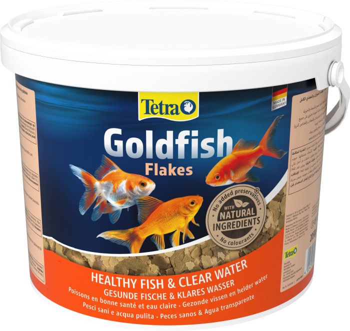 Goldfish (10 L)
