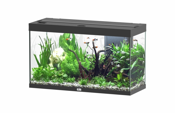 Splendid Ultra 200 Schwarz Aquarium