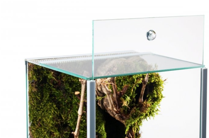 Me Top-Glas Terra Spider (20 x 20 x 40 cm) 3 mm