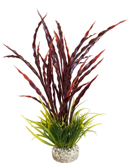 Herbe Atoll 35 cm de haut [P8]