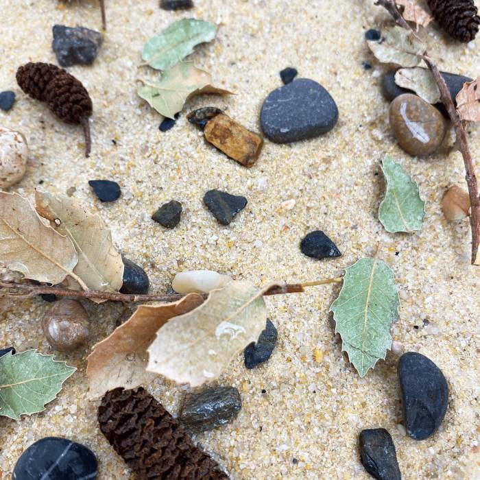 Me Nature World Habitat Alpine (3kg)