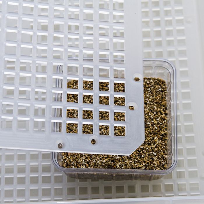 Easy Breeder Incubator (48 x 25 x 51 cm)