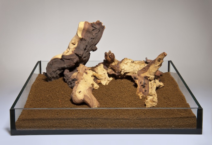 Mopani Holz S (0,5 kg) [P40]