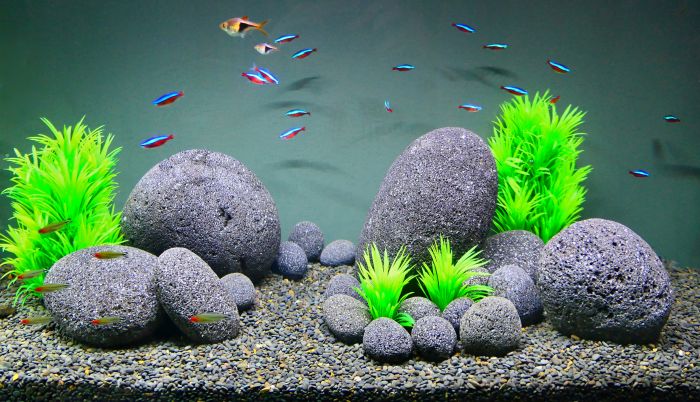 Calbuco Lava Pebbles (14 - 18 cm) Large