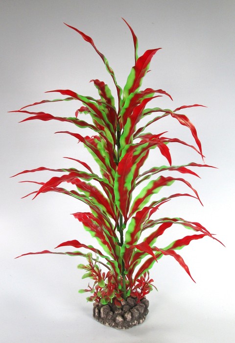 Pflanzen Deluxe XL Nr. 34 (32 - 38 cm)