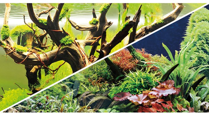 Fotorückwand Green Secret/Wood Island (0,5 x 25 m)