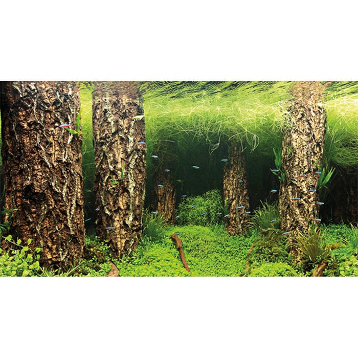 Poster de fond découpé Scaping Hill/Scaping Forest 120x50 cm