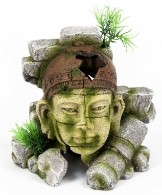 Ruine indigen