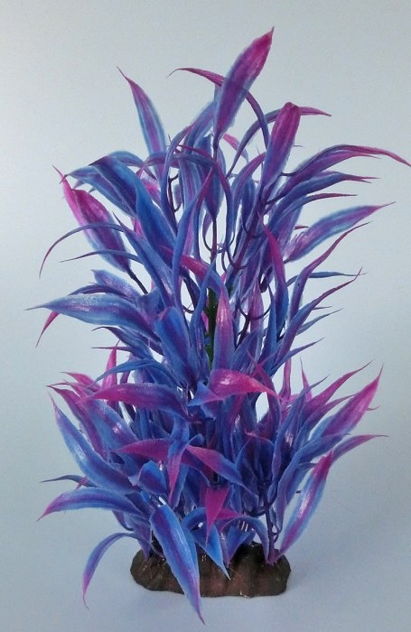 Pflanzen Deluxe M Nr. 29 (18 - 22 cm)