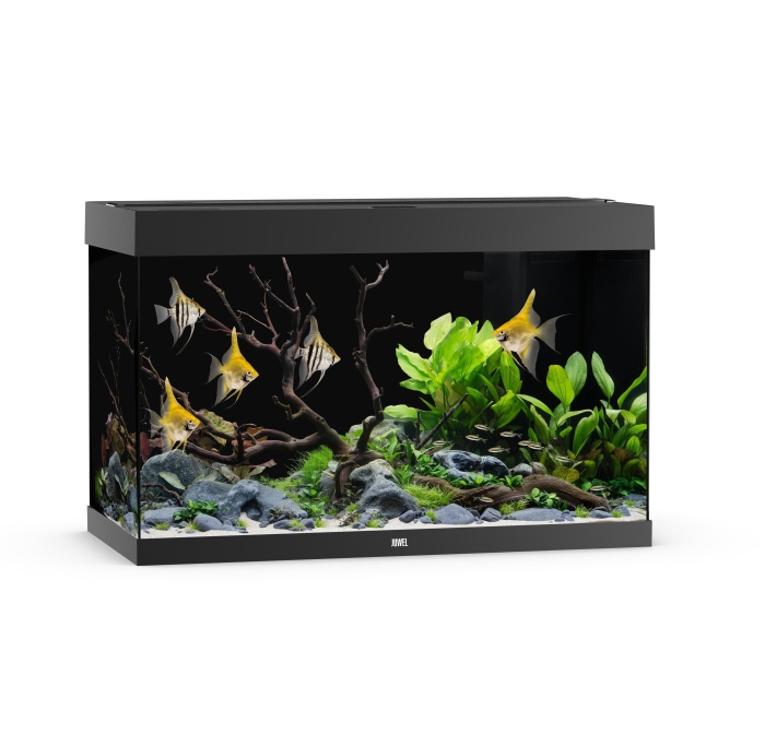 Rio 290 LED schwarz Aquarium
