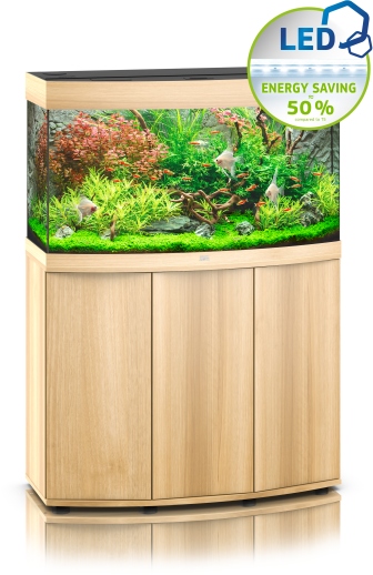 Vision 180 LED SBX helles Holz Kombination