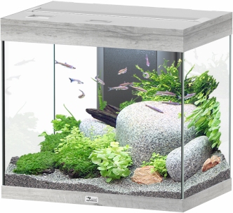 Splendid Ultra 110 Esche Weiß Aquarium