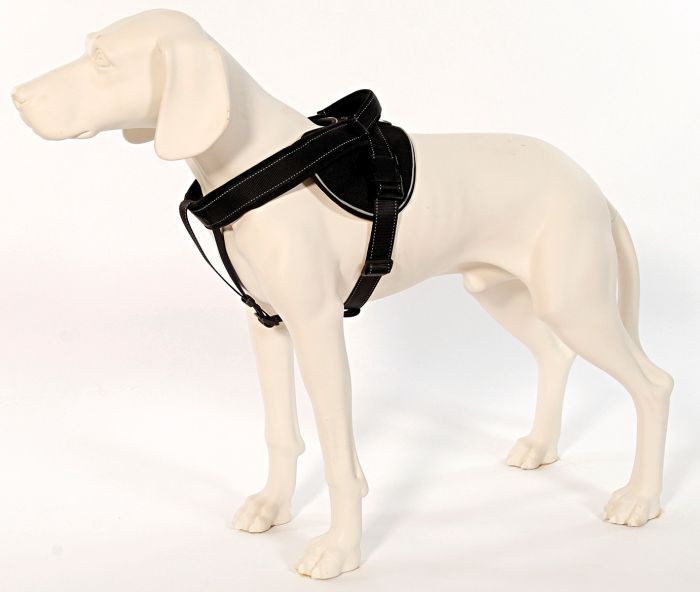 Jockey Geschirr Langleine M schwarz