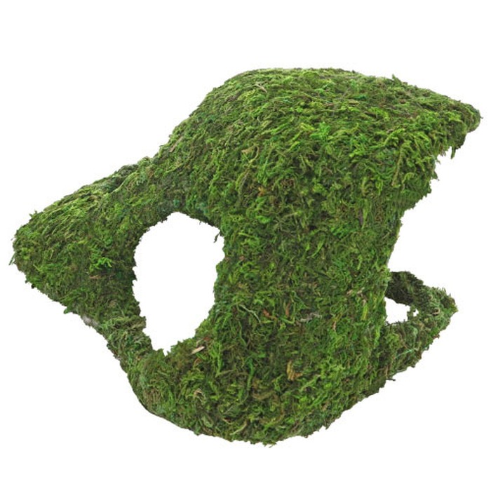 Jungle Cave 4 (25.5 x 14 x 11.5 cm)