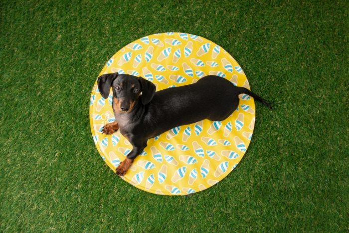 ELASTOFIT Runde Kühlmatte - Gelb - L/XL