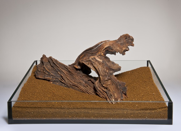 Flusswurzel sortiert Mix (1kg) [P15]