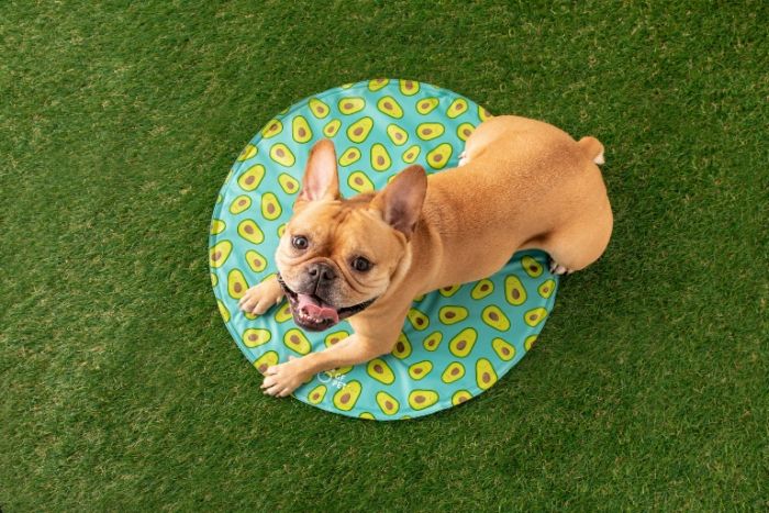 ELASTOFIT Runde Kühlmatte - Blau - S/M