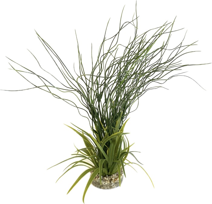 Herbe d'eau 39 cm de haut [P6]