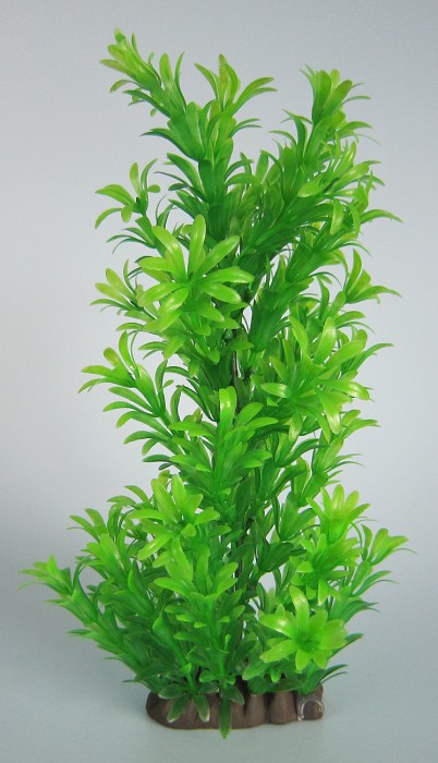 Pflanzen Deluxe M Nr. 16 (18 - 22 cm)