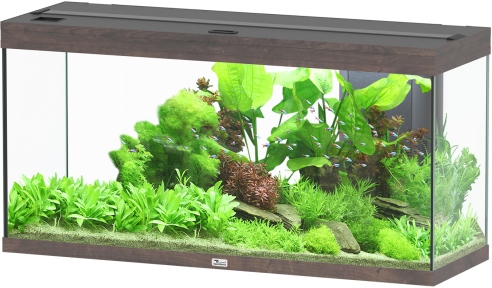 Splendid Ultra 240 Wildeiche Dunkel Aquarium