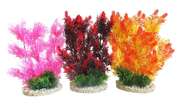 Aquaplant haie colorée 24 cm de haut [P6]