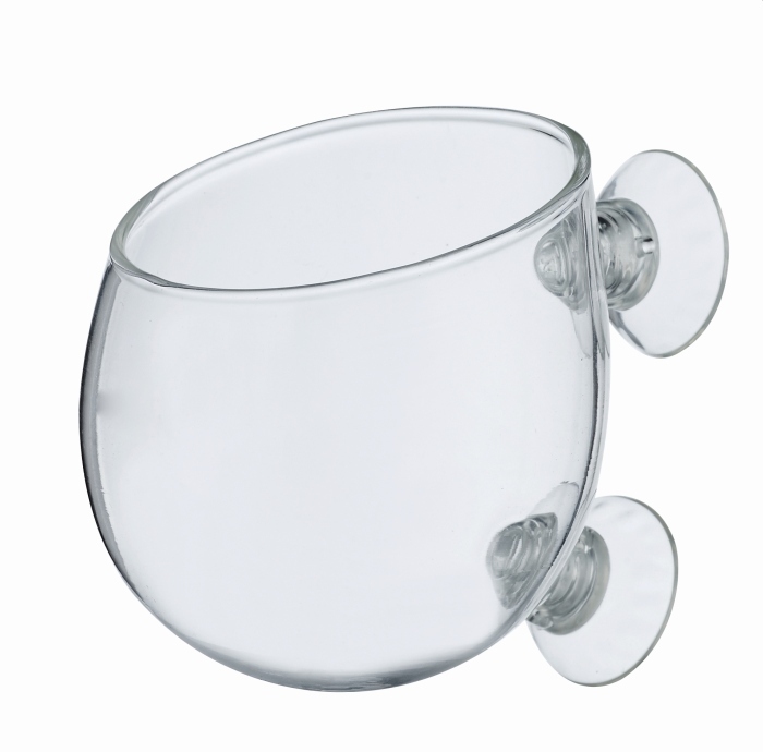 Glas Vase für Pflanzen