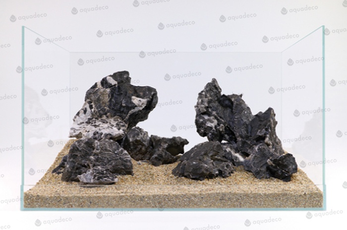 Leopardenstein M (2,3-2,7 kg) [P10]