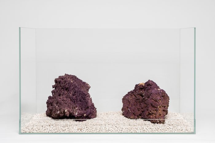 Jurassic Reef Rock, Boîte M (pour aquarium de 100–200 L)