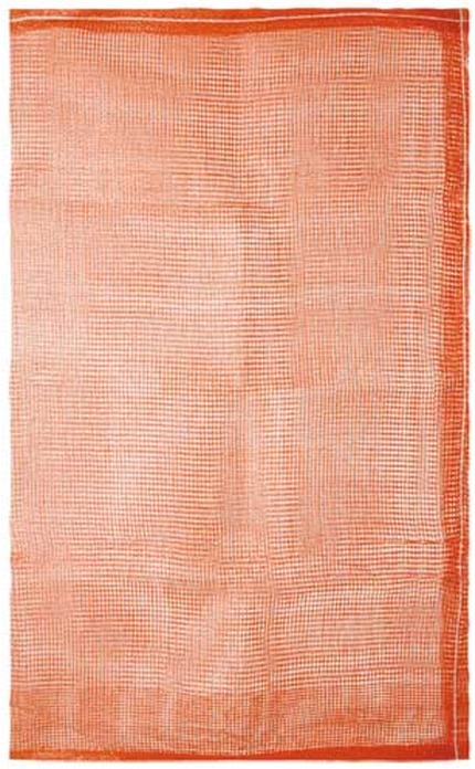 Netzbeutel für Teich (88 x 53cm)