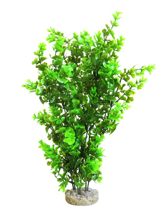 Butterfly XL 36 cm hoch [P5]