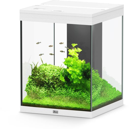 Aqua Tower 163 weiß Aquarium