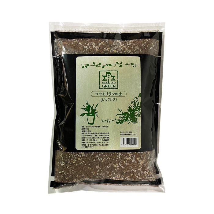 J. Green Soil Staghorn Fern 2,5l