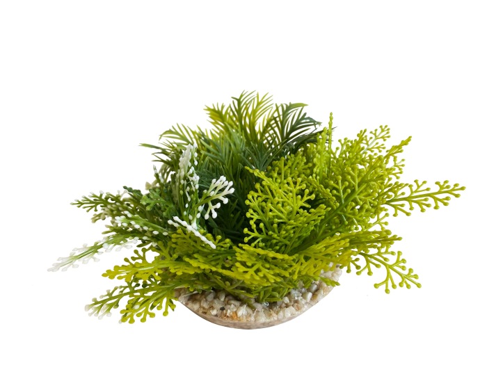Fiesta mousse XL 14 cm de haut [P4]