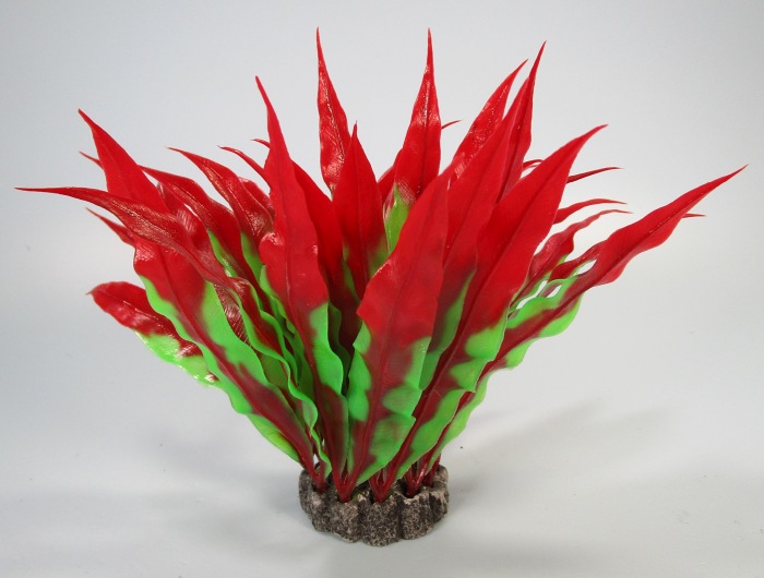 Pflanzen Deluxe S Nr. 34 (8 - 12 cm)