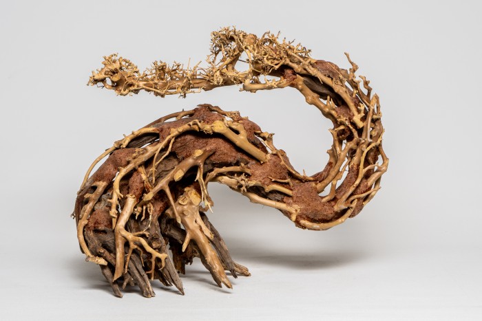Drachen-Bonsai L (H: 30-35 cm, L: 37-40 cm)
